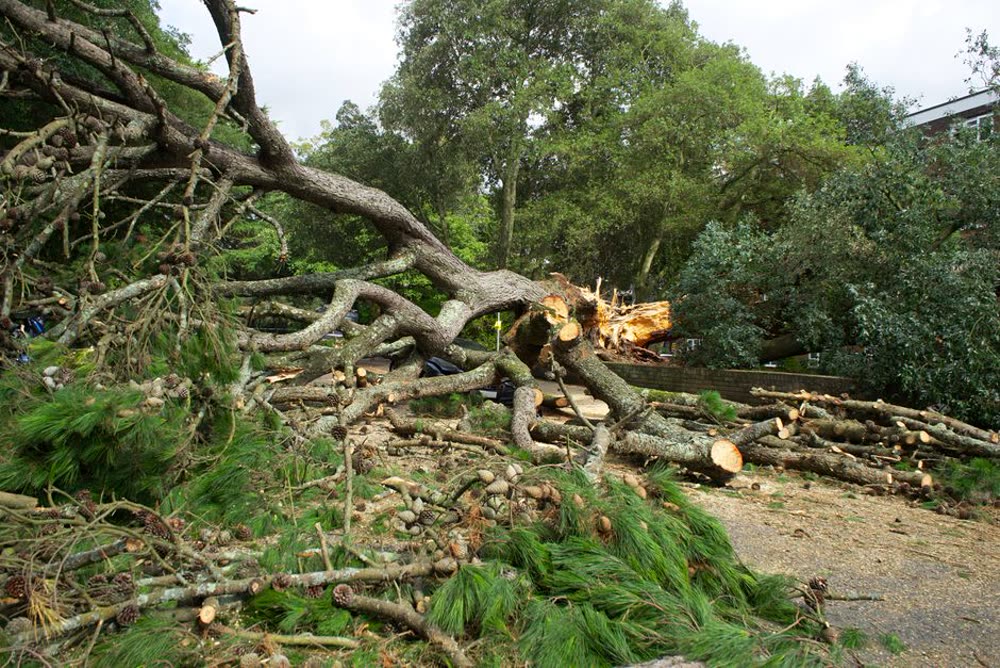 Storm Damage & Emergency